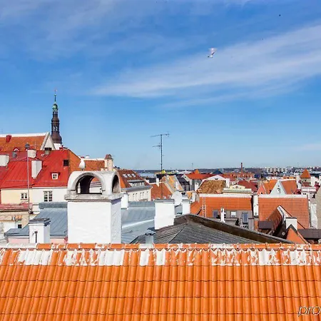 St. Petersbourg - Small Luxury Of The World Tallin