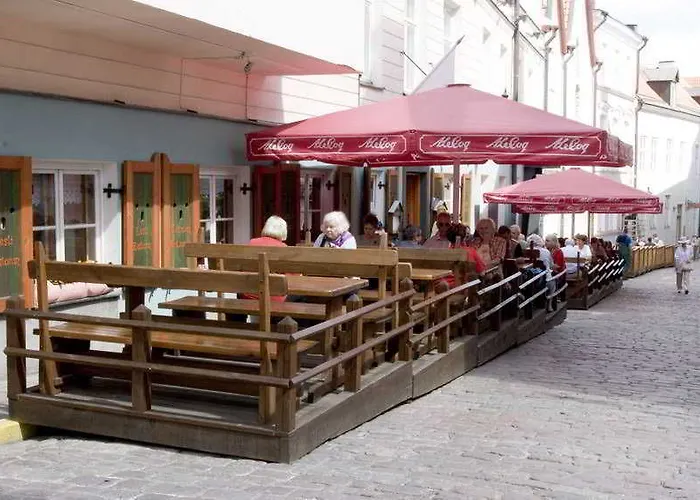 St. Petersbourg - Small Luxury Of The World Szálloda Tallinn